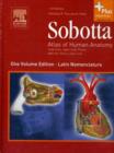 Image for Sobotta - Atlas of Human Anatomy one volume edition