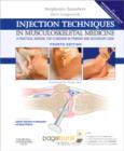 Image for Injection techniques in musculoskeletal medicine  : a practical manual for clinicians in primary and secondary care