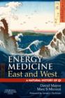 Image for Energy medicine East and West  : a natural history of qi