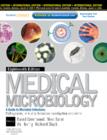 Image for Medical Microbiology : With Studentconsult Online Access