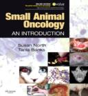 Image for Small animal oncology: an introduction