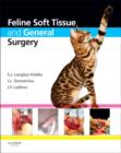 Image for Feline Soft Tissue and General Surgery