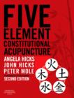 Image for Five element constitutional acupuncture