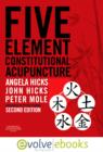 Image for Five Element Constitutional Acupuncture