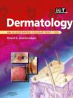 Image for Dermatology: an illustrated colour text