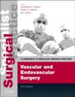 Image for Vascular and Endovascular Surgery - Print and E-book