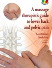 Image for A massage therapists&#39; guide to lower back and pelvic pain