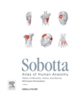 Image for Sobotta Tables of Muscles, Joints and Nerves, English : Tables to 15th ed. of the Sobotta Atlas