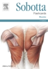 Image for Sobotta Flashcards Muscles