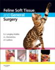 Image for Feline soft tissue and general surgery