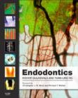 Image for Endodontics.