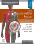 Image for The musculoskeletal system  : basic science and clinical conditions