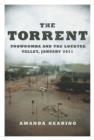 Image for Torrent: Toowoomba and the Lockyer Valley, January 2011