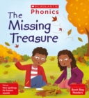 Image for The missing treasure