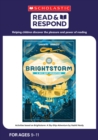 Image for Brightstorm  : a sky-ship adventure