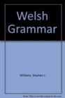 Image for Welsh Grammar