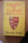 Image for Llywelyn ap Gruffydd : Tywysog Cymru