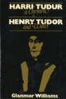 Image for Harri Tudur a Chymru : Henry Tudor and Wales