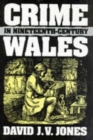 Image for Crime in Nineteenth-Century Wales