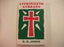 Image for Cyfriniaeth Gymraeg