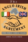 Image for The Anglo-Irish Agreement : The First Three Years