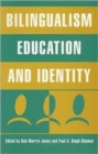 Image for Bilingualism, Education and Identity
