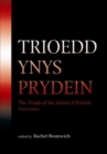 Image for The Welsh Triads