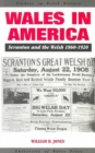 Image for Wales in America