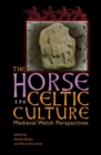Image for The Horse in Celtic Culture