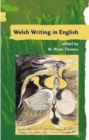 Image for A Guide to Welsh Literature 1282-c.1550 v. 2 : Guide to Welsh Literature 1282-c.1550