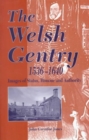 Image for The Welsh gentry 1536-1640  : images of status, honour and authority