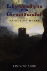 Image for Llywelyn ap Gruffudd  : Prince of Wales