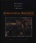 Image for Industrial Society