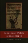Image for Medieval Welsh Manuscripts