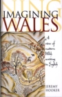 Image for Imagining Wales  : a view of modern Welsh writing in English