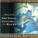 Image for Industrial Society