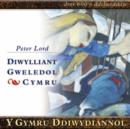 Image for Y Gymru Ddiwydiannol : Diwylliant Gweledol Cymru
