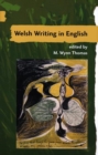 Image for A guide to Welsh literatureVol. 7: Welsh writing in English