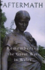 Image for Aftermath  : remembering the Great War in Wales