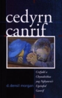 Image for Cedyrn Canrif