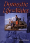 Image for Domestic Life in Wales
