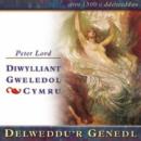 Image for Delweddu&#39;r Genedl : Diwylliant Gweledol Cymru