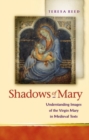 Image for Shadows of Mary  : reading the Virgin Mary in medieval texts
