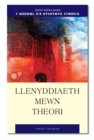 Image for Llenyddiaeth Mewn Theori