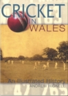 Image for Cricket in Wales