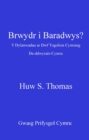 Image for Brwydr i baradwys?: y dylanwadau ar dwf ysgolion Cymraeg De-ddwyrain Cymru