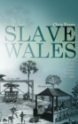 Image for Slave Wales  : the Welsh And Atlantic slavery 1660-1850