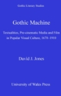 Image for Gothic machine: textualities, pre-cinematic media and film in popular visual culture, 1670-1910
