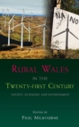 Image for Rural Wales in the twenty-first century: society, economy and environment