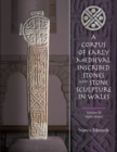 Image for A corpus of early Medieval inscribed stones and stone sculpture in WalesVolume III,: North Wales